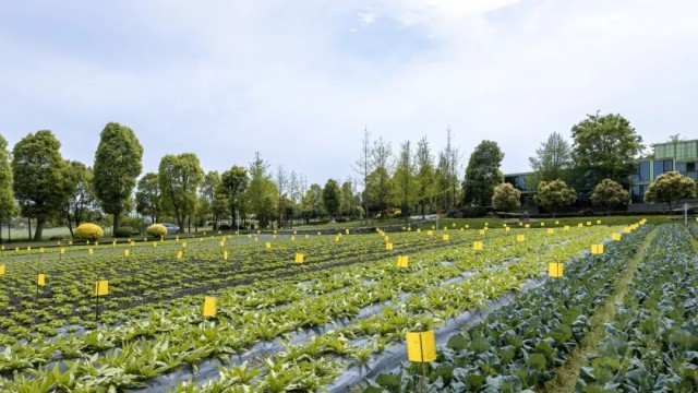 農業(yè)農村部2021年農產品倉儲保鮮冷鏈設施項目申報指南