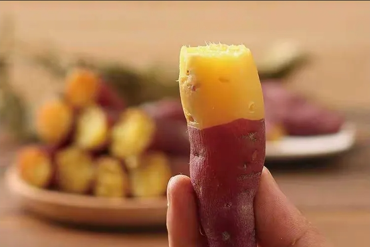 智能甘薯糖化愈合庫，紅薯存儲新變革
